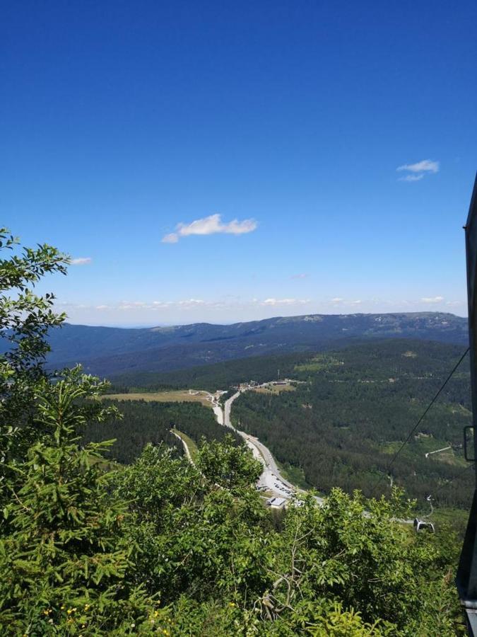 Idyllisch Gelegene Ferienwohnung Im Herzen Des Bayerischen Waldes Zachenberg Extérieur photo