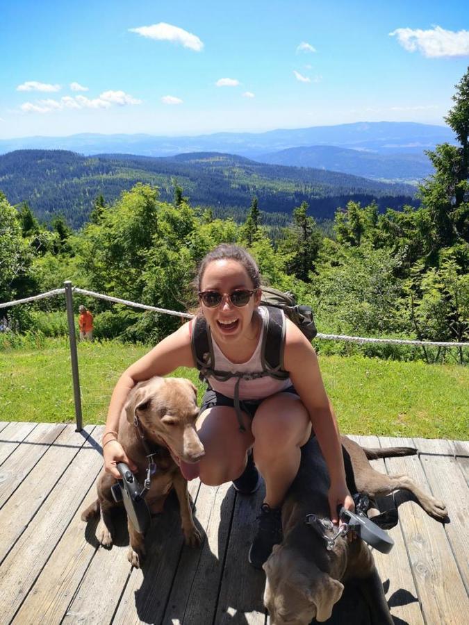 Idyllisch Gelegene Ferienwohnung Im Herzen Des Bayerischen Waldes Zachenberg Extérieur photo